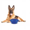 ΤΑΪΣΤΡΑ/ΜΠΟΛ ΤΑΞΙΔΙΟΥ PET TRAVEL BOWL 2000 ml ΓΙΑ ΣΚΥΛΟΥΣ/ΓΑΤΕΣ/ΚΑΤΟΙΚΙΔΙΑ ΖΩΑ (ΣΙΛΙΚΟΝΗ/ΔΙΑΦΟΡΑ ΧΡΩΜΑΤΑ)