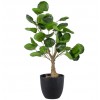 GloboStar® Artificial Garden POLYSCIAS SCUTELLARIA TREE 20424 Τεχνητό Διακοσμητικό Φυτό Πολυσκιά Υ50cm - 6754
